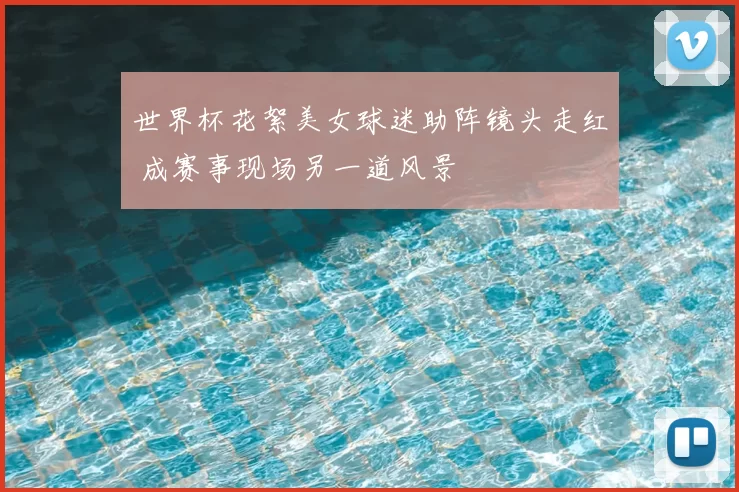 世界杯花絮美女球迷助阵镜头走红 成赛事现场另一道风景