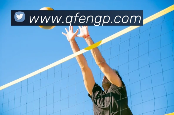 问鼎pg2.8官网入口中国有限公司官方平台生态图